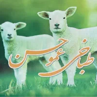جهت کار در طباخی