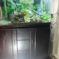 فروش یا معاوضه