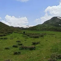 سبزی کوهی و کوهنوردی