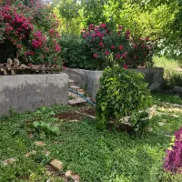 فروش باغچه کوچک با کل انشعابات ناماور
