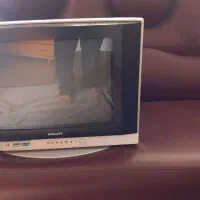 تلویزیون