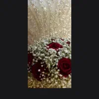 لباس عروس مدل عربی شیک و سنگین