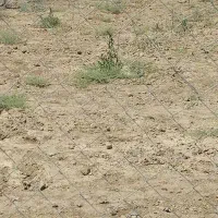 245متر-زمین-بالای-شهرک-جهاد