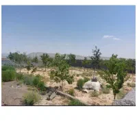 فروش باغ505در مجتمع ویلایی بزرگ درحومه طبرسی شمالی