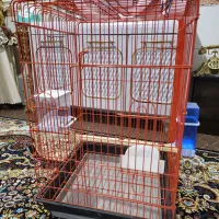 قفس عروس