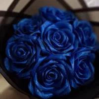 دسته گل|صنایع دستی و سایر لوازم تزئینی|قزوین, |دیوار