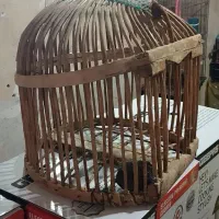 قفس کبک