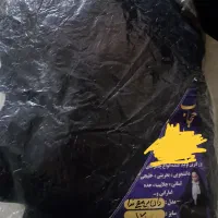 چادر دانشجویی