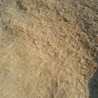 سه انبار کاه دیم بزرگ
