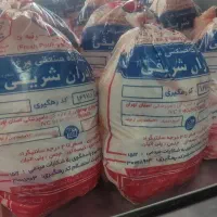 نیازمند بیخس کار مرغ بدن جای خواب