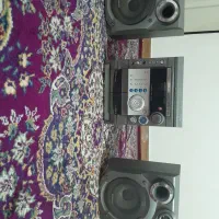 ضبط خانگی