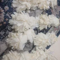 چند عدد دستکش