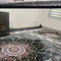 دوعددفرش ۹ متری  پونصدشانه