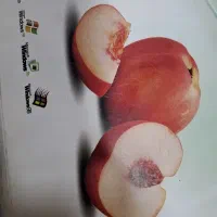 نرم افزار هلو دو کاربره