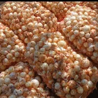 پیاز ریز برای ترشی