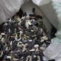 فروش محصولات باغی