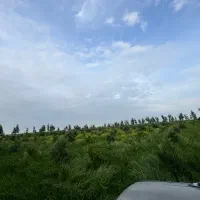 کارگر ساده شبانه روزی