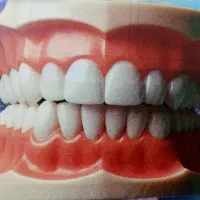 نیازمند به دندانپزشک با مدرک