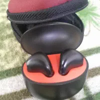 ایراد هایلو اصل شیامی