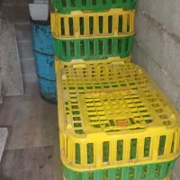 سبد مرغ زنده