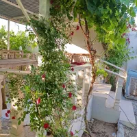 باغ،باغچه،چهار دیواری،ویلا از ۲۰۰متر تا ۱۰۰۰متر