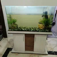 اکواریوم شیشه خم