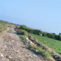فروش زمین باغی