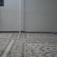 توروالیبال