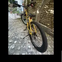 دوچرخه اورلرد با رنگ خاص تنه29