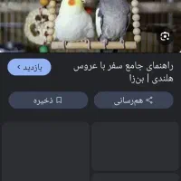 عروس هلندی گم شده