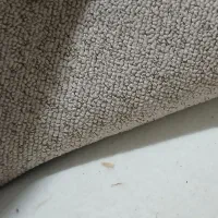 موکت palaz پالاز و تافتینگ ظریف ۱۲ و۶ متری