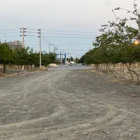 زمین 255 متری در شاندیز ( پدیده )