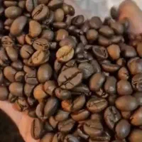 استخدام باریستا خانم