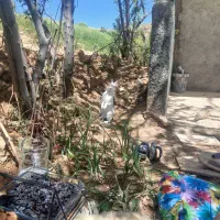 خرگوش باهوش