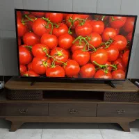 تلوزیون الجی ۴۹ اینچ اصلی