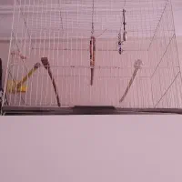 قفس پرنده