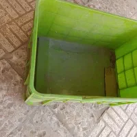 جعبه پلاستیکی
