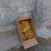 برگ زرد