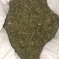 سبزی ماهیی خشک شده