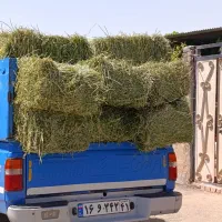 پرس یونجه ۳۰ عدد
