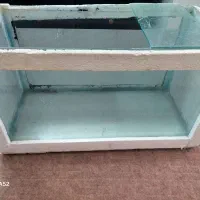 اکواریوم