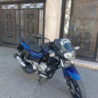پالس ۱۸۰ عروسک