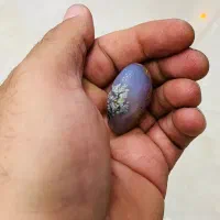 عقیق شجر دار معدنی