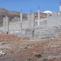 نیروی کار