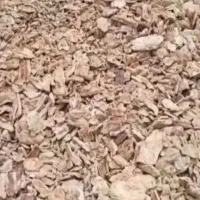 نون خشک