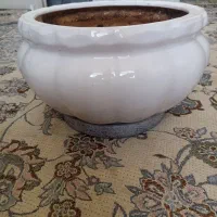 گلدان بزرگ