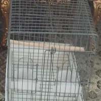 قفس مدل ۱۰۳۲ قیمت ۴۰۰