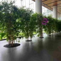 اجراهای ترکیبی درختچه بوته برگ های حالت طبیعی