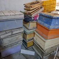 کندو زنبور عسل