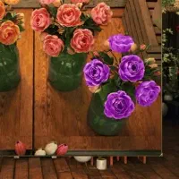 داوطلب همپا برای پیاده روی